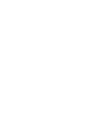FUJI LAMP